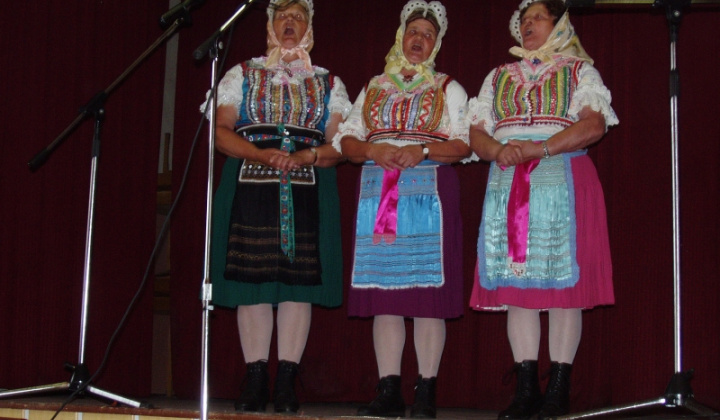 2. fotografia fotogalérie Kultúrne leto 2010