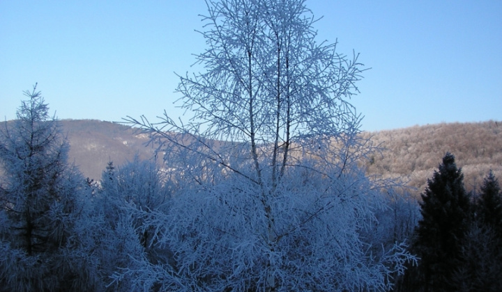 2. fotografia fotogalérie Šarišské Jastrabie a okolie