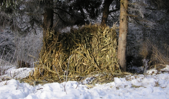 7. fotografia fotogalérie Šarišské Jastrabie a okolie