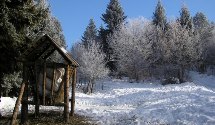 8. fotografia fotogalérie Šarišské Jastrabie a okolie