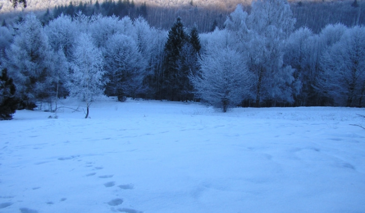14. fotografia fotogalérie Šarišské Jastrabie a okolie