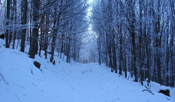 15. fotografia fotogalérie Šarišské Jastrabie a okolie