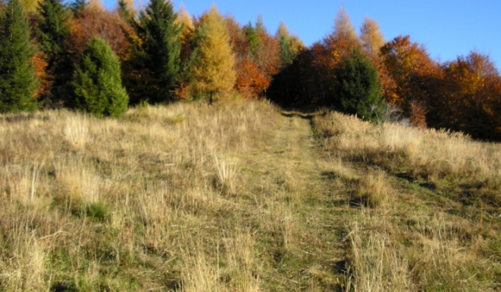 19. fotografia fotogalérie Šarišské Jastrabie a okolie