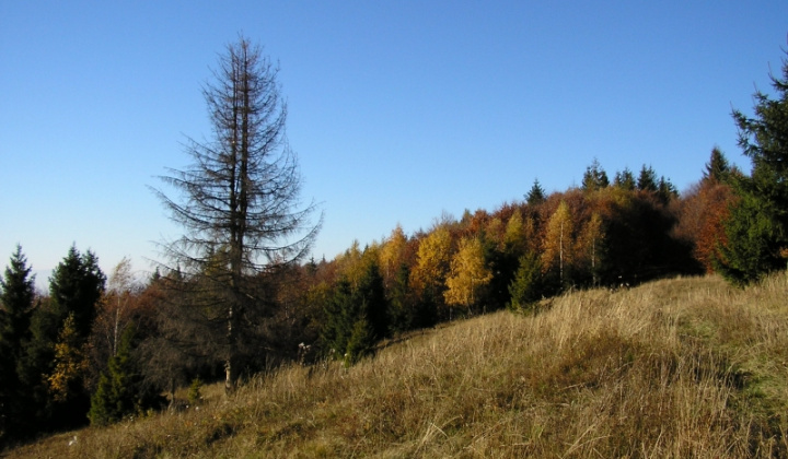 20. fotografia fotogalérie Šarišské Jastrabie a okolie