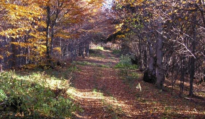 21. fotografia fotogalérie Šarišské Jastrabie a okolie