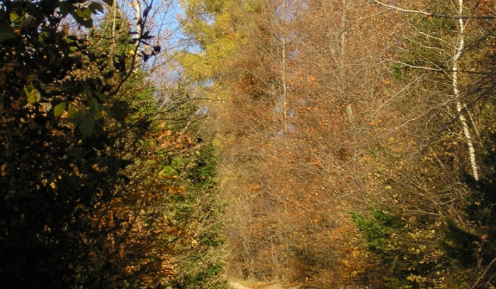 23. fotografia fotogalérie Šarišské Jastrabie a okolie