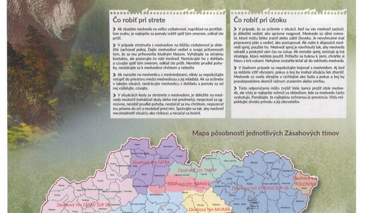 Fotka - Upozornenie na zvýšený výskyt medveďa hnedého v okrese